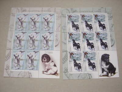 Belarus 2010 fauna caini MI 837-839 3 kleib. MNH foto