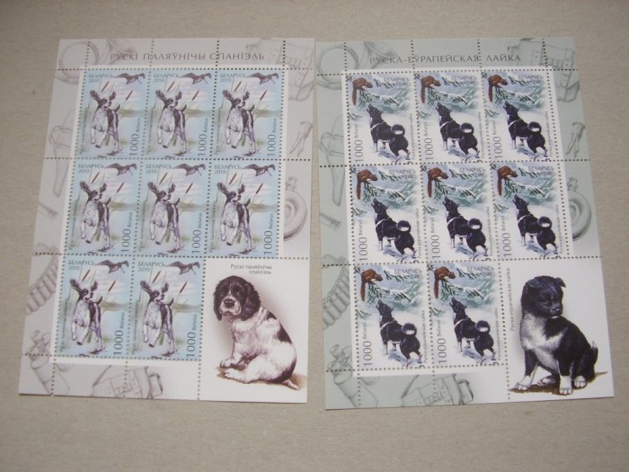 Belarus 2010 fauna caini MI 837-839 3 kleib. MNH