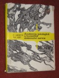 Anatomia Patologica A Tumorilor Sistemului Nervos - C. Arseni, N. Carp