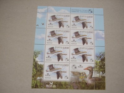 Belarus 2009 fauna pasari MI 762 kleib. MNH foto
