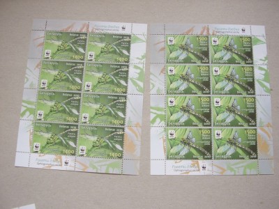 Belarus 2010 fauna insecte MI 824-827 - 4 kleib. MNH foto