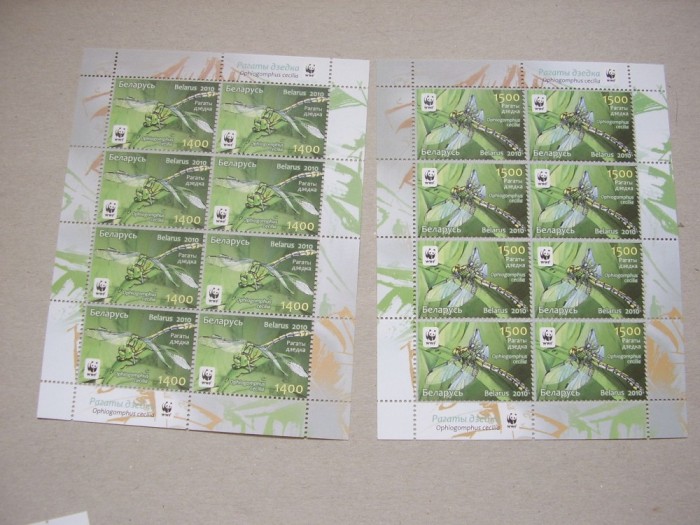 Belarus 2010 fauna insecte MI 824-827 - 4 kleib. MNH