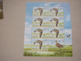 Belarus 2011 fauna pasari kleib. MNH, Nestampilat