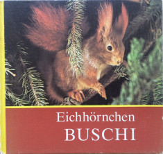 EICHHORNCHEN BUSCHI - Carte pentru copii in limba germana foto