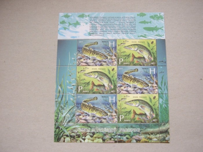 Belarus 2011 fauna marina pesti kleib. MNH