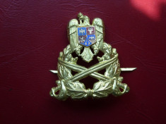 emblema cascheta foto