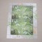 Belarus 2010 fauna insecte MI 824-827 - kleib. MNH