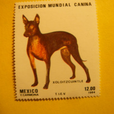 Serie- Caine- Expozitie Canina 1984 Mexic , 1 val.