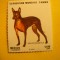 Serie- Caine- Expozitie Canina 1984 Mexic , 1 val.