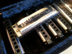 Set Muzicute Hohner Blues foto