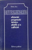 DETERMINAREA EFICIENTEI PROGRESULUI TEHNICO-STIINTIFIC SI A CALIFICARII - P Jica