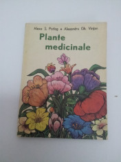 PLANTE MEDICINALE/ ALEXE S. POTLOG/ 1983 foto