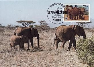 548 - Uganda 1983 - carte maxima