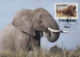 550 - Uganda 1983 - carte maxima