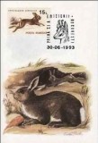 546 - Romania 1993 - carte maxima