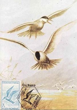 547 - Romania 1992 - carte maxima foto