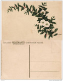 Felicitare primavara, flori- cca 1910, Circulata, Printata