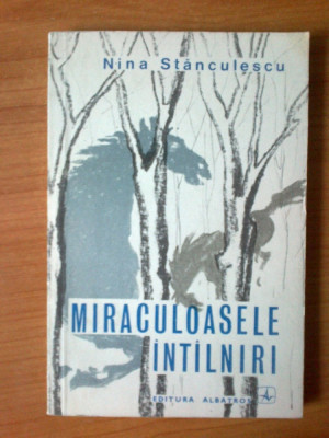 n7 Miraculoasele intalniri - Nina Stanescu foto