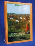 Cumpara ieftin ION PETROVAI - MULTICULTURALISM IN TARA MARAMURESULUI - 2007 - CU AUTOGRAF !!! *