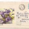 % plic--(intreg postal)-GHINTURA-cod 158-63