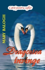 Mary Balogh - Dragostea invinge - 314584 (1) foto