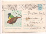 % plic--(intreg postal)-CINTEZA CURCUBEU-Poephila gouldie-cod 190/65