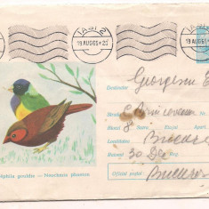 % plic--(intreg postal)-CINTEZA CURCUBEU-Poephila gouldie-cod 190/65