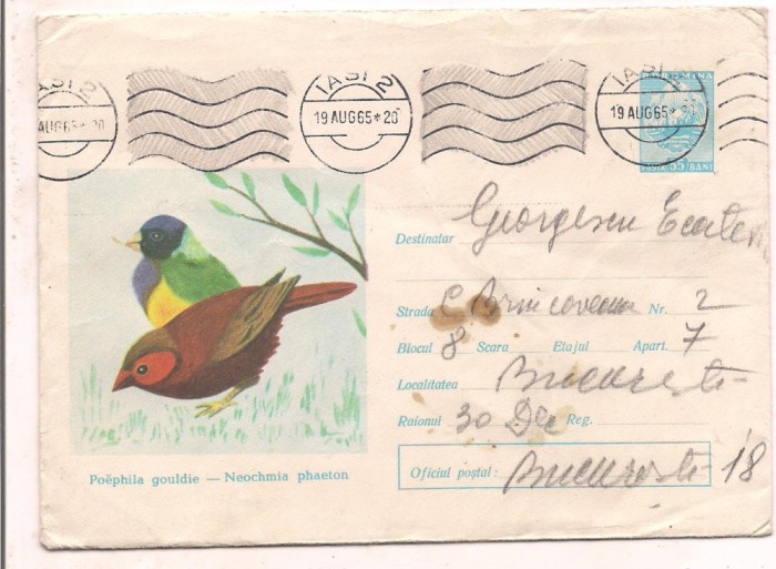 % plic--(intreg postal)-CINTEZA CURCUBEU-Poephila gouldie-cod 190/65