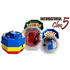 Incubator electric Cleo 5 foto