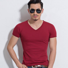 Tricou barbati SLIM pe corp mulat gen ZARA MODEL 2015 - 6 culori - foto