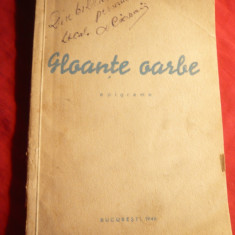 Don Bartolo - Gloante Oarbe - Epigrame -1946 , hartie Gohrmuhle cu filigram