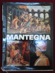 Alexandru Balaci - Mantegna - 315662 foto