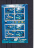 Fauna marina ,rechini ,WWf ,St. Kitts, Nestampilat