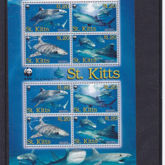 Fauna marina ,rechini ,WWf ,St. Kitts