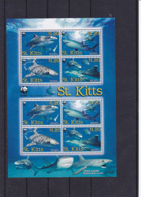 Fauna marina ,rechini ,WWf ,St. Kitts foto