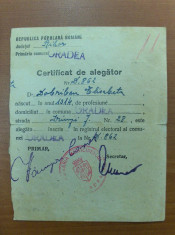 certificat de alegator Oradea -RPR foto