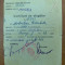 certificat de alegator Oradea -RPR