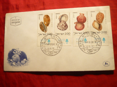 Plic FDC - Fauna - Scoici - Cochilii 1977 Israel foto