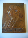 RARA!PLACHETA BRONZ GH.IONESCU BRAILA PRES.ASOC.MEDICILOR VETERINARI ROMANI 1939