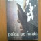 n2 Polca pe furate - Mihail Celarianu