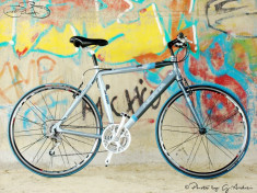 Bicicleta NORTA,roti 28&amp;quot;,spite plate, jante super lite.(city/trekking) foto