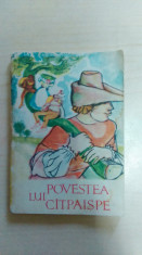 Povestea lui Catpaispe/ ilustratii de Octav Grigorescu/ Traista cu povesti foto