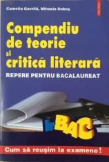 COMPENDIU DE TEORIE SI CRITICA LITERARA REPERE PENTRU BAC - C. Gavrila, M. Dobos foto