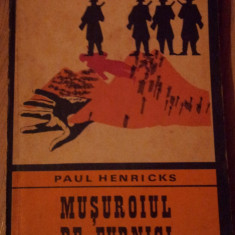 Paul Henricks - Musuroiul de Furnici