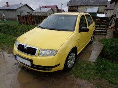 Skoda Fabia 2001, taxa nerecuperata, schimb/variante foto