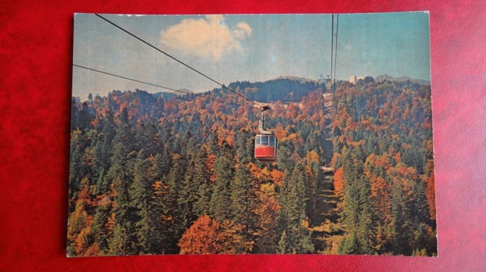 Vedere/Carte postala - Sinaia
