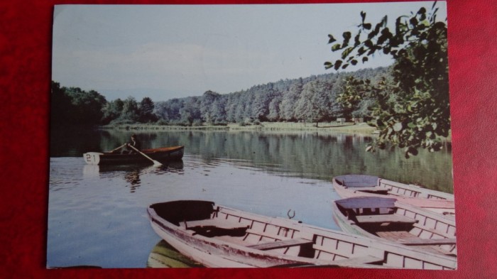 Vedere/Carte postala - Pozat fata-verso - Sibiu - Lacul