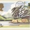 1079 - Anglia 1981 - carte maxima