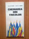 n6 Chemarea din tricolor - Colonel Gh. Bejancu, Colonel dr. V. Mocanu