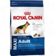 royal canin maxi adult foto